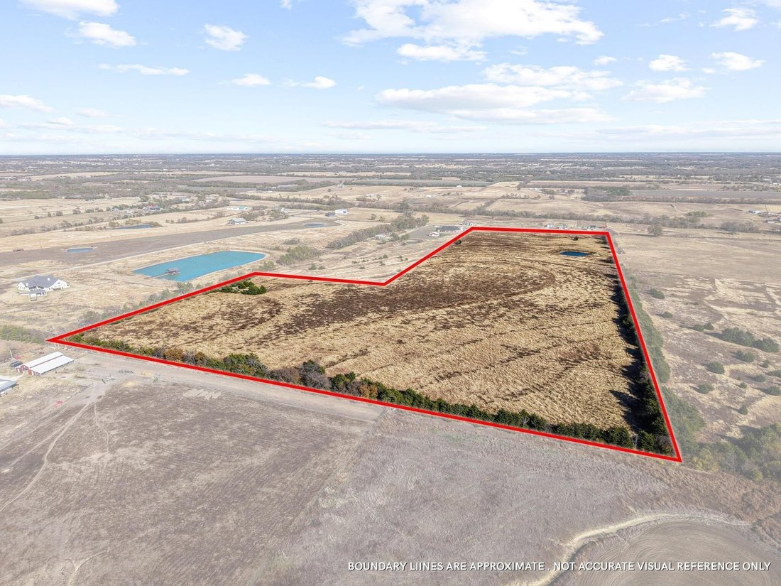 Land in Blue Ridge, Texas, United States 5 - 17766191