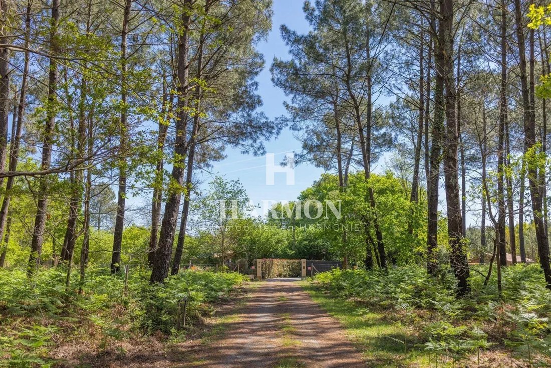 Estate in Sanguinet, Nouvelle-Aquitaine, France 1 - 16918354