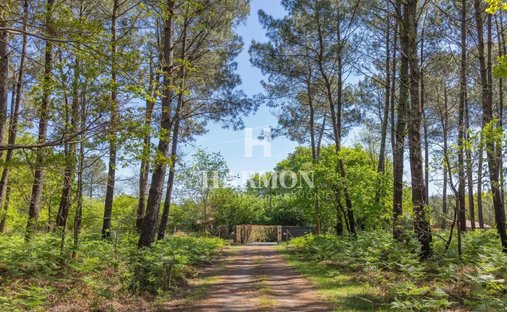 Estate in Sanguinet, Nouvelle-Aquitaine, France 1