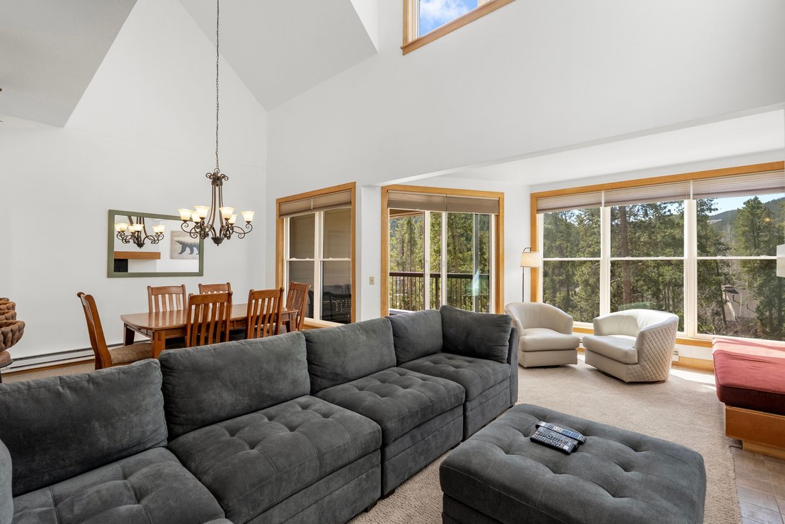 Condo in Dillon, Colorado, United States 1 - 17764007
