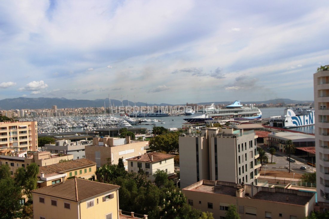Apartment in Palma, Balearic Islands, Spain 3 - 17768315