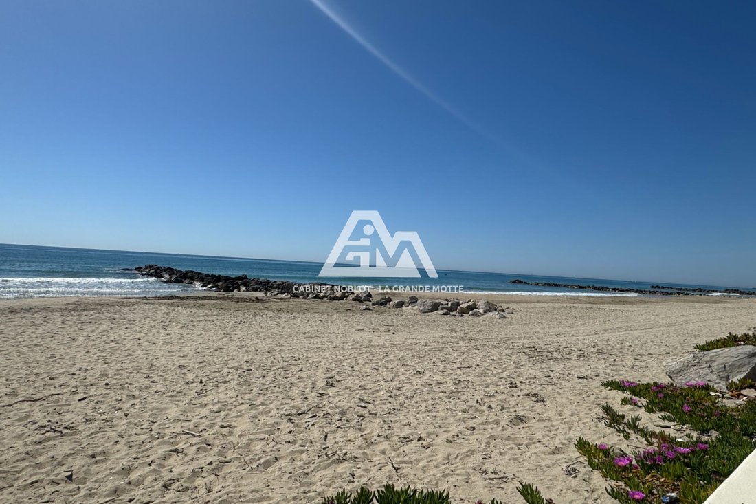 Apartment in Rive Gauche, Palavas-les-Flots, France 1 - 17767504