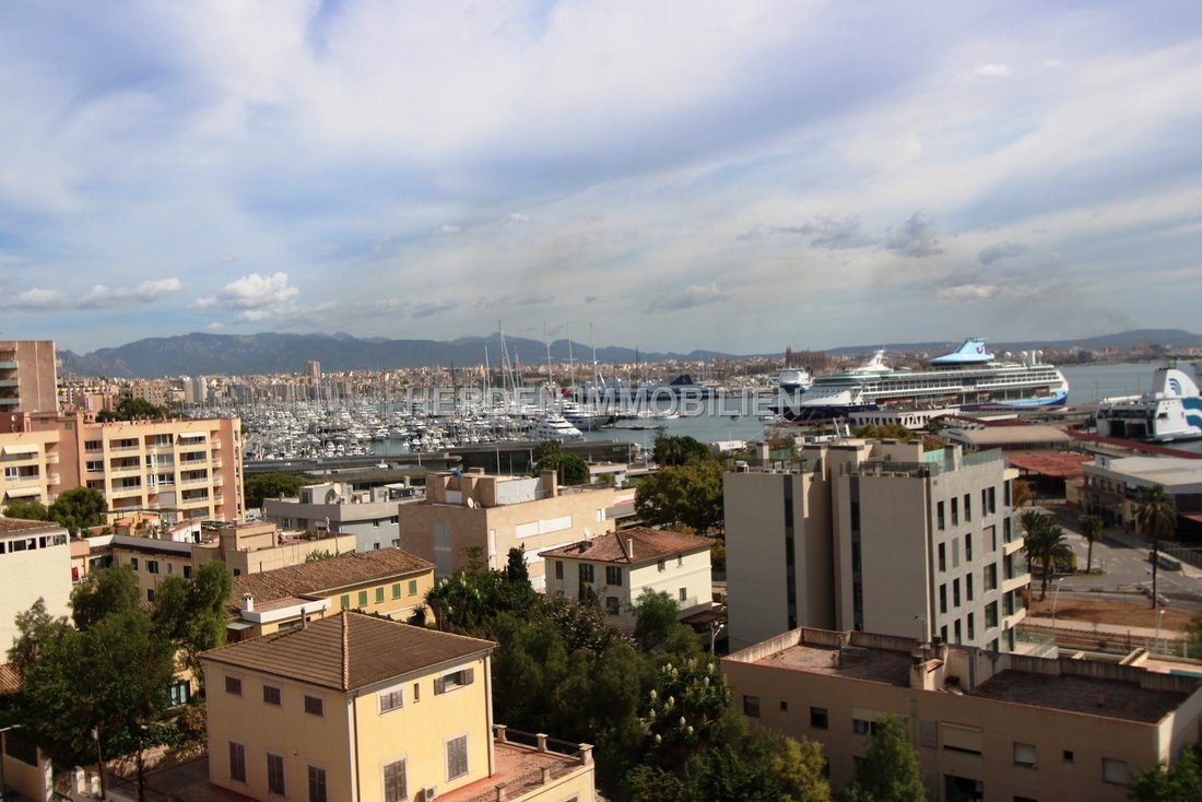 Apartment in Palma, Balearic Islands, Spain 4 - 17768315