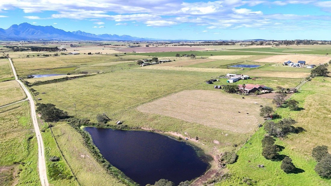Farm Ranch in George, Western Cape, South Africa 5 - 17765496