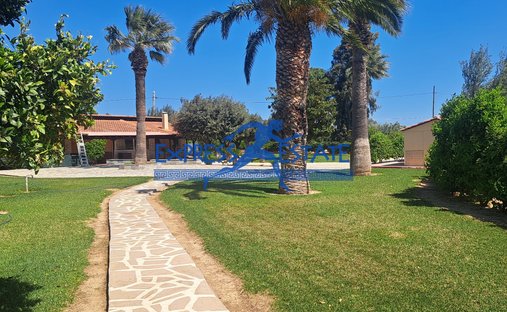 House in Marathonas, Attica, Greece 1