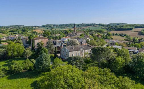 Castle in Grand Centre, Albi, France 1