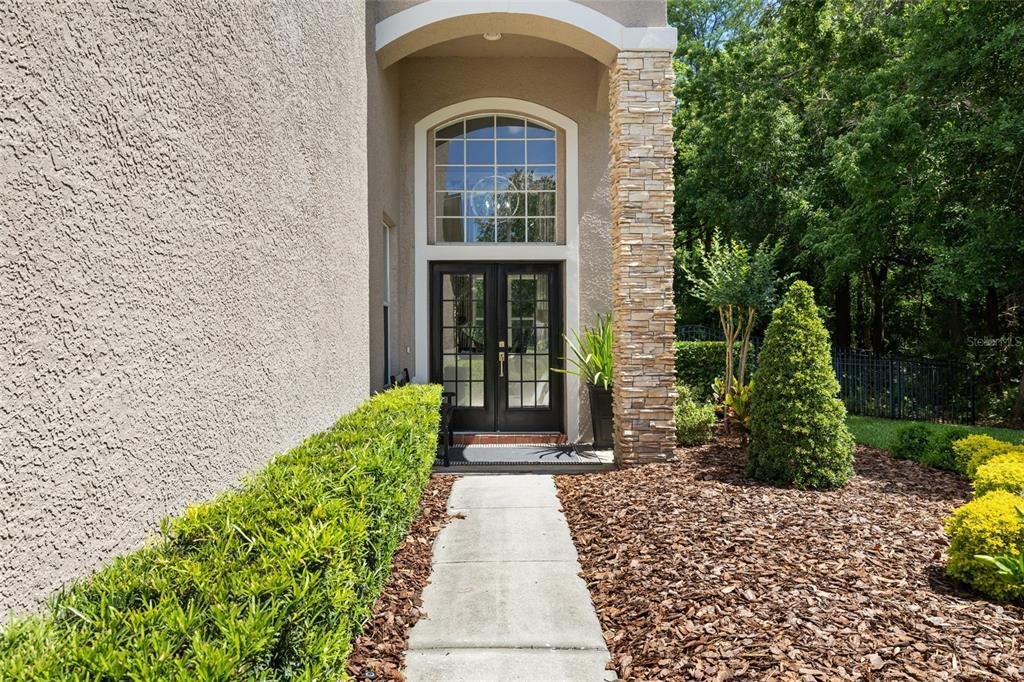 House in Tampa, Florida, United States 3 - 17764893