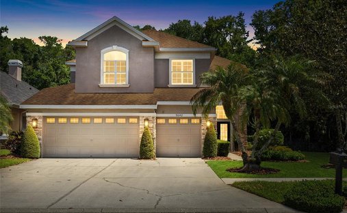 Maison à Tampa, Floride, États-Unis 1
