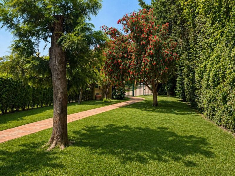 House in Sotogrande, San Roque, Andalusia 2 - 17767540