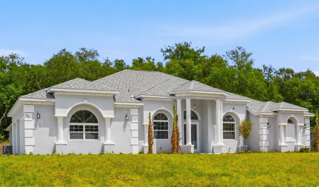 House in Hernando, Florida, United States 1 - 17752467