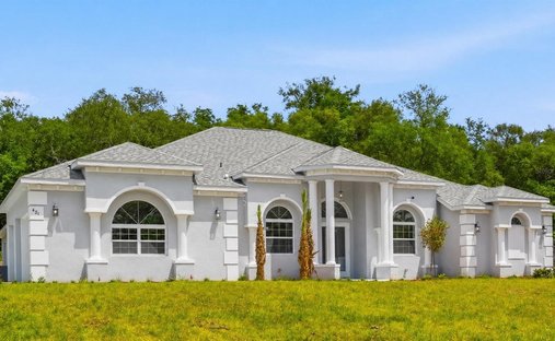 House in Hernando, Florida, United States 1