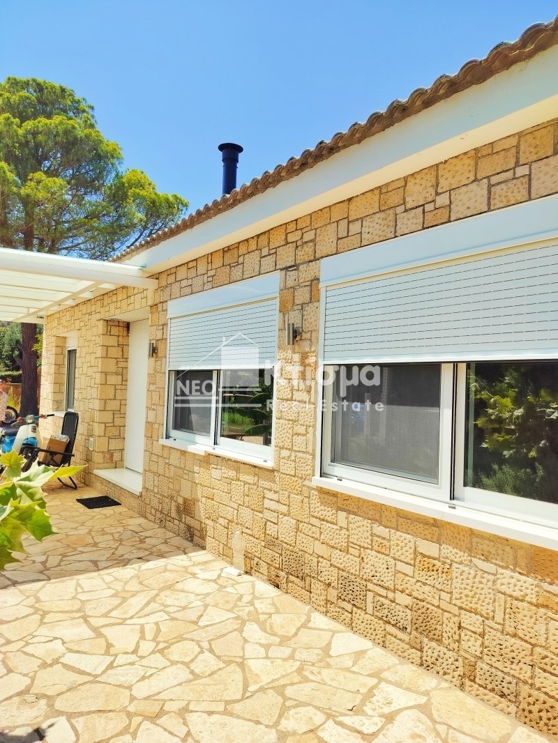House in Katakolo Community, Peloponnese, Western Greece and the Ionian, Greece 2 - 17769599