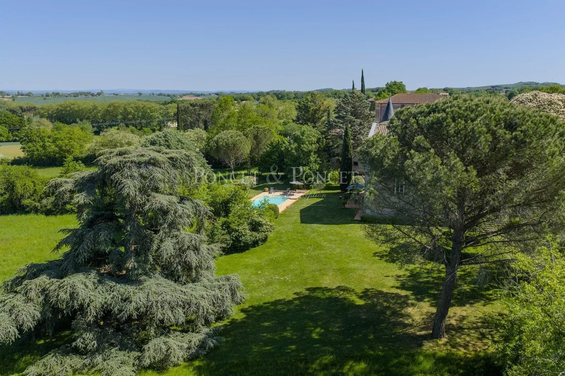 Castle in Grand Centre, Albi, France 2 - 17433245