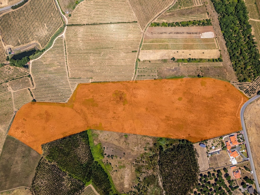 Land in Carvalhal, Leiria District, Portugal 3 - 17763037