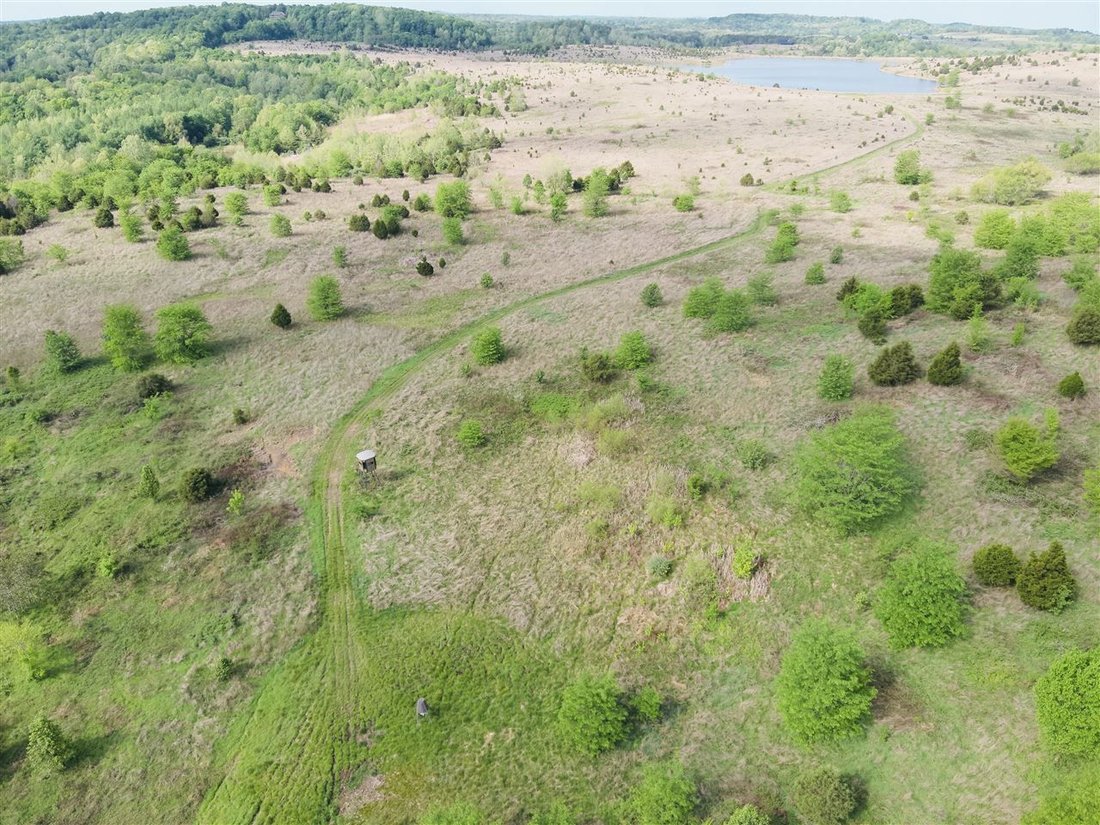 Land in Morgantown, Kentucky, United States 3 - 17766669