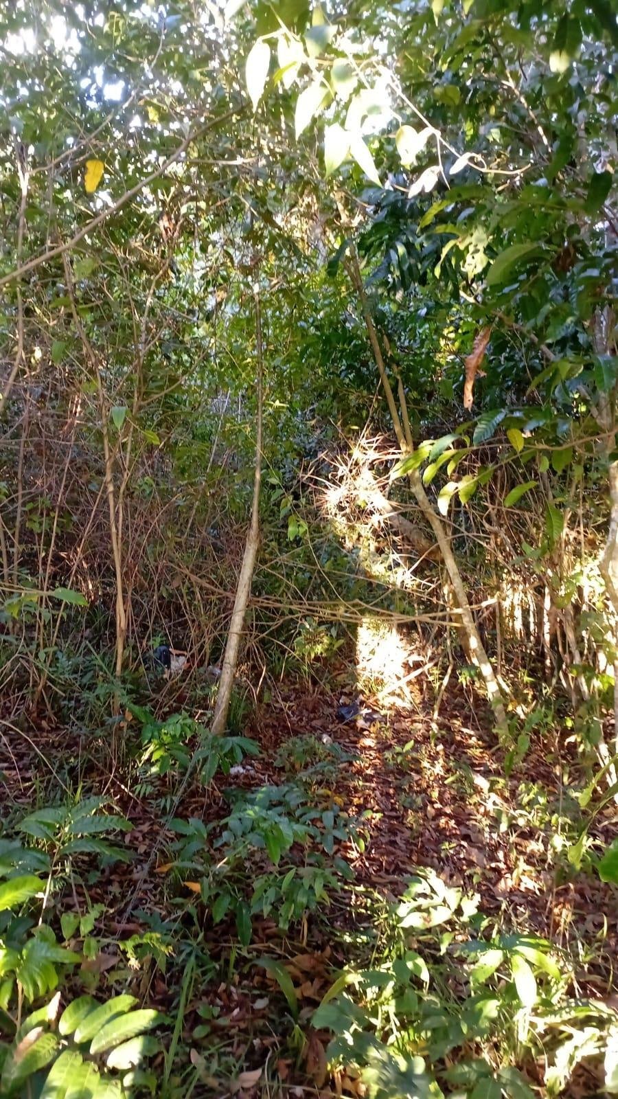 Land in Villa Rosario, Provincia de Panamá Oeste, Panama 1 - 17767283