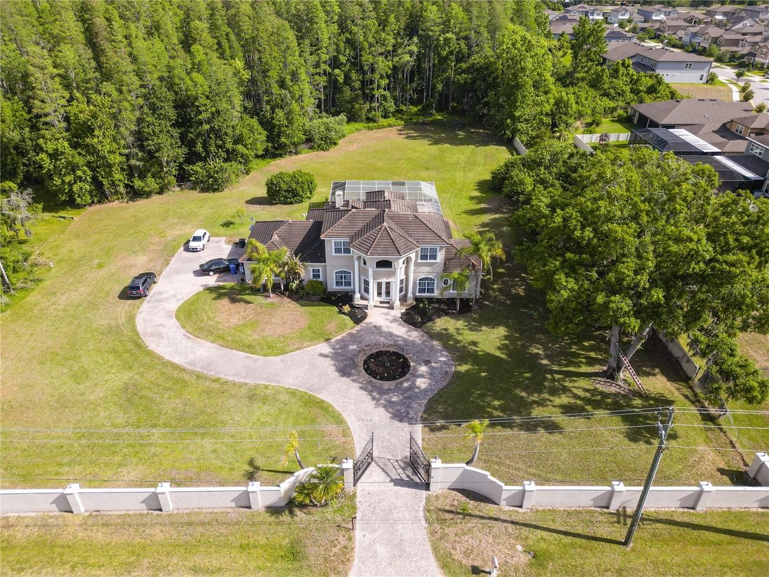 House in Land O' Lakes, Florida, United States 3 - 17764059