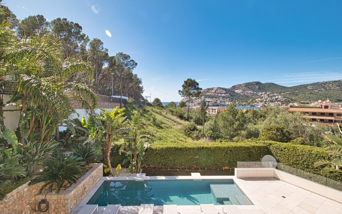 Apartment in Port d'Andratx, Andratx, Balearic Islands 2 - 17769024