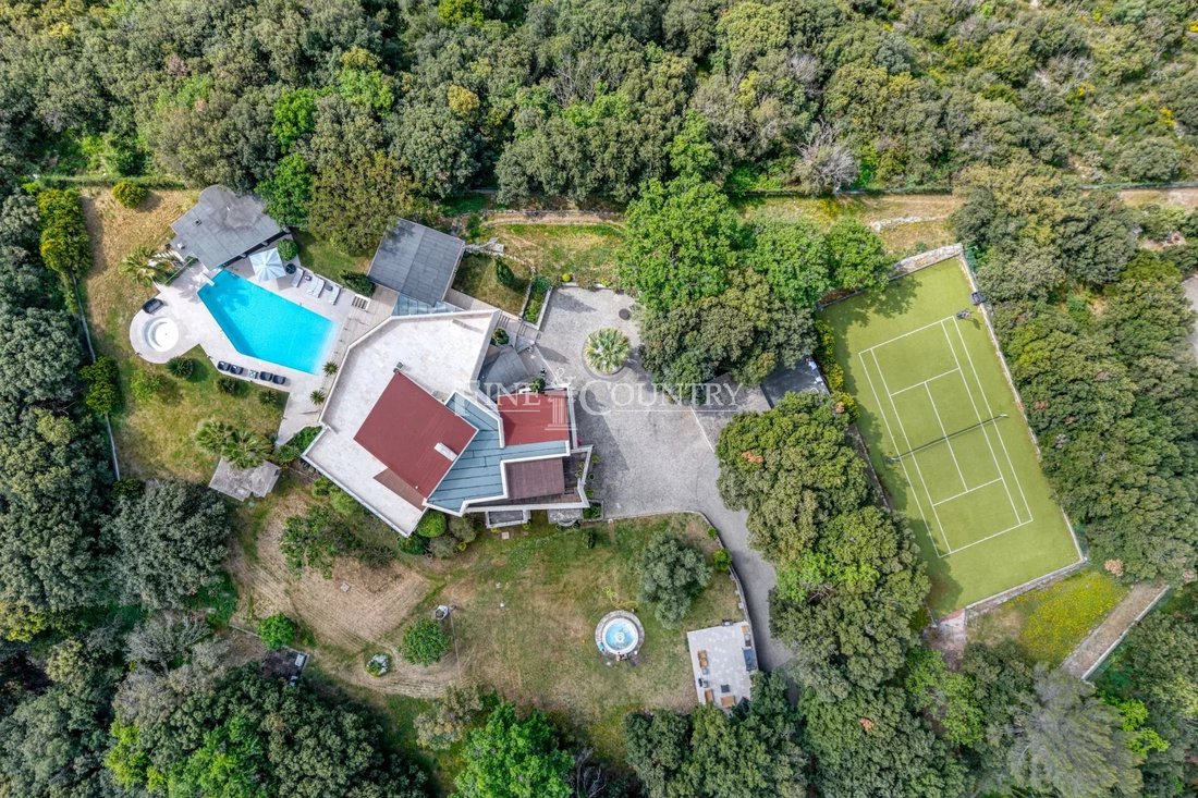 Villa in Valbonne, Provence-Alpes-Côte d'Azur, France 2 - 17769296
