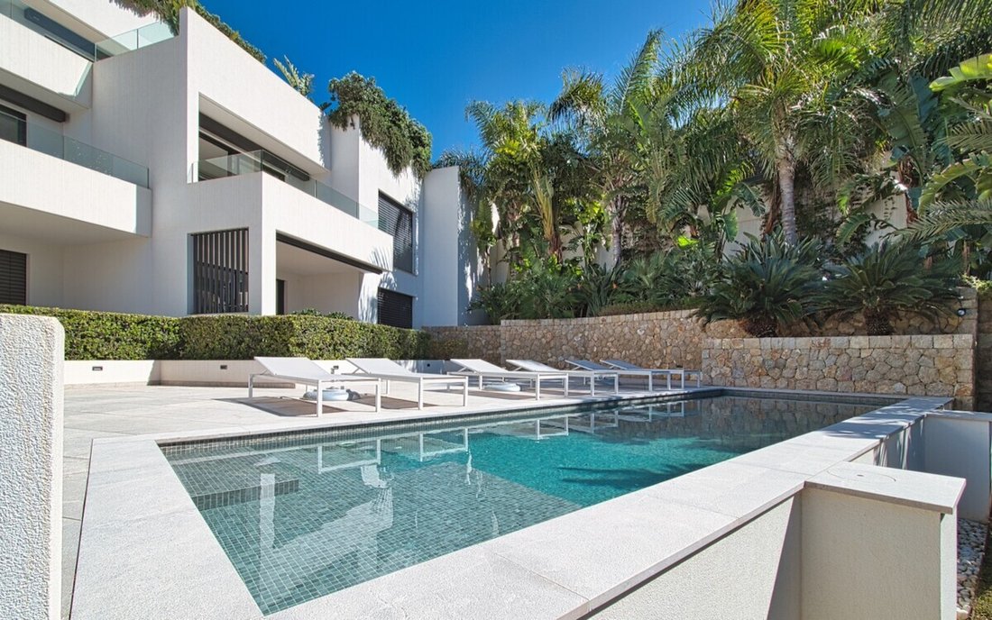 Apartment in Port d'Andratx, Andratx, Balearic Islands 1 - 17769024