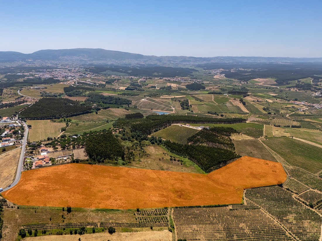Land in Carvalhal, Leiria District, Portugal 1 - 17763037