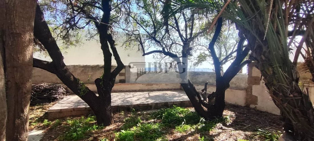 House in Skyros, Thessaly and Central Greece, Greece 4 - 17764894