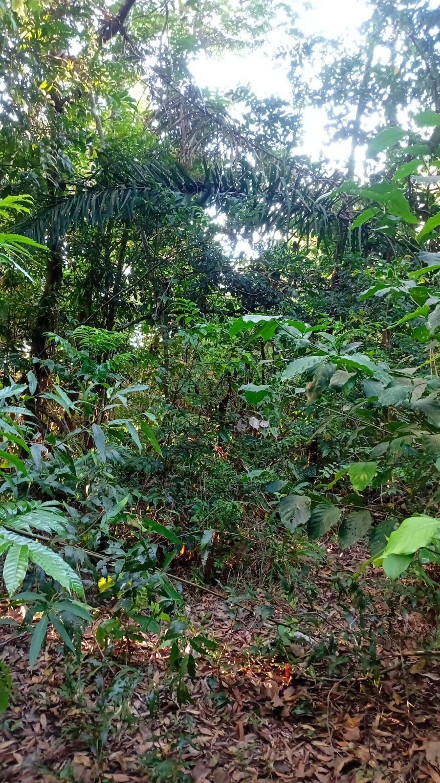 Land in Villa Rosario, Provincia de Panamá Oeste, Panama 2 - 17767283