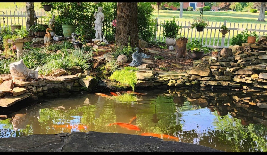 House in Goodlettsville, Tennessee, United States 5 - 17770071