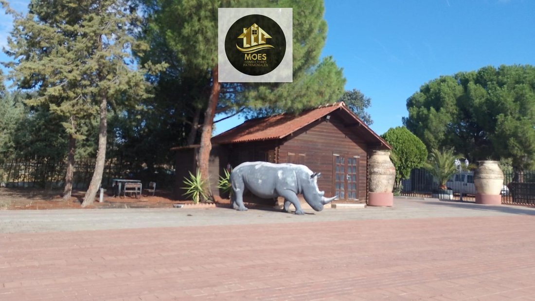 Farm Ranch in Linares, Andalusia, Spain 2 - 17770610