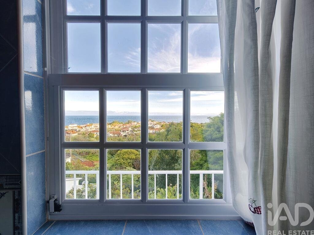 Townhouse in Lajes do Pico, Azores, Portugal 3 - 17770510