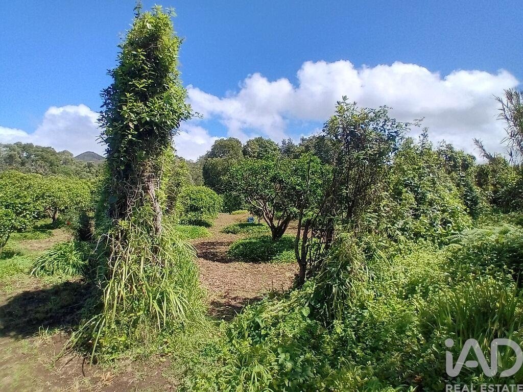 Land in Lagoa (Nossa Senhora do Rosario), Azores, Portugal 5 - 17770406
