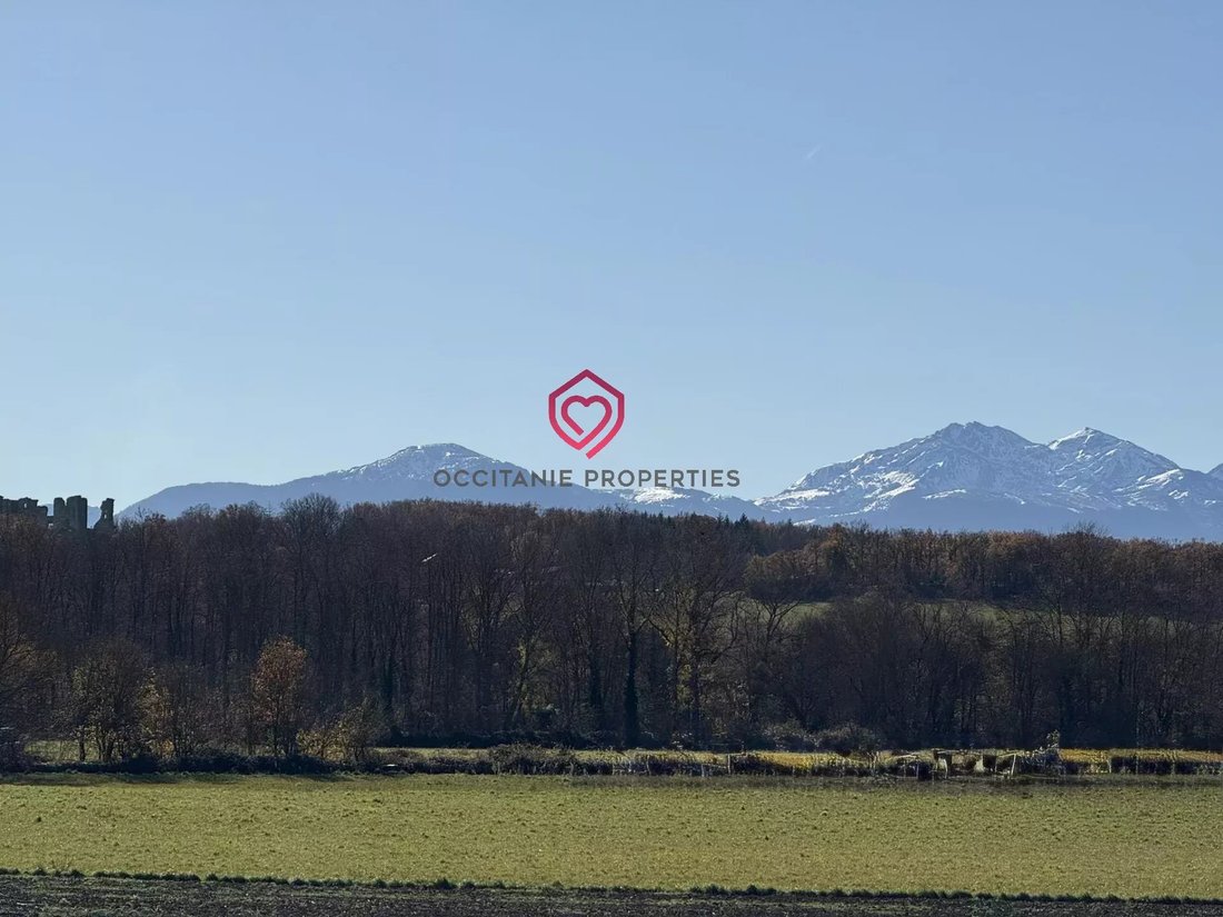 House in Mirepoix, Occitania, France 2 - 17352933