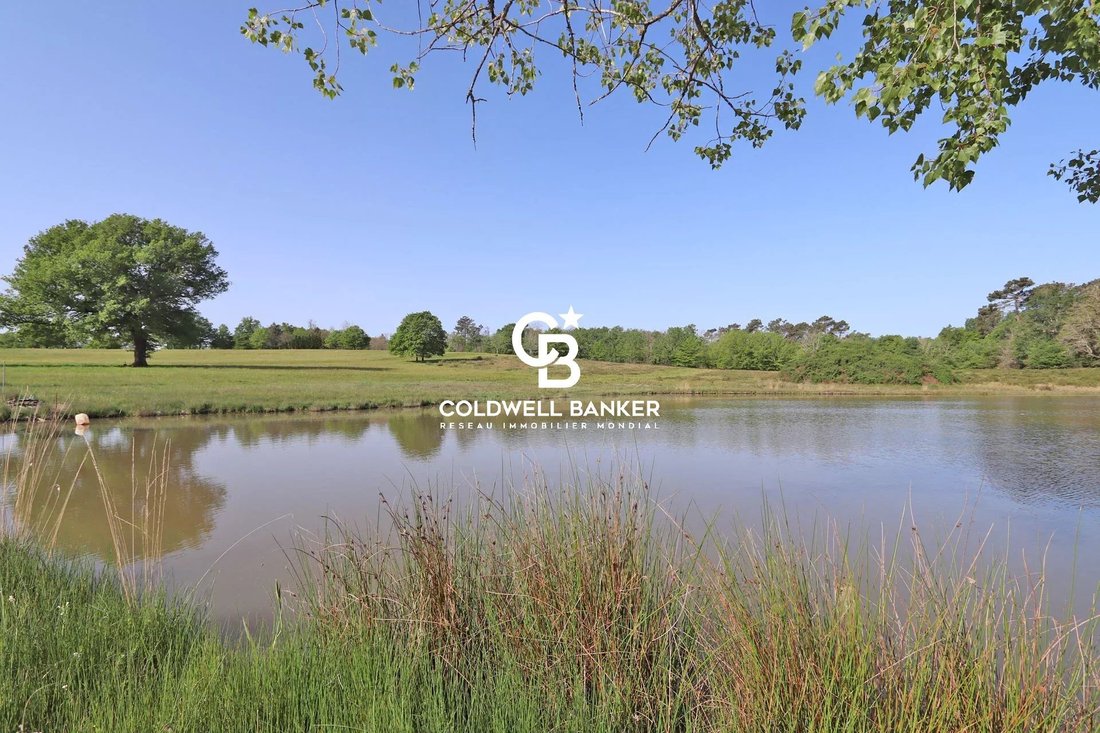Estate in Saint-Michel-de-Double, Nouvelle-Aquitaine, France 1 - 17770311