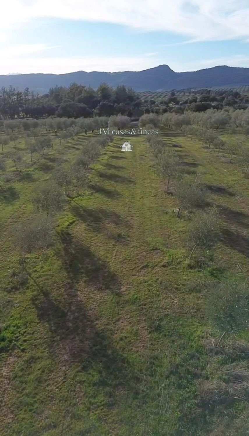 Farm Ranch in Ronda, Andalusia, Spain 2 - 17770565