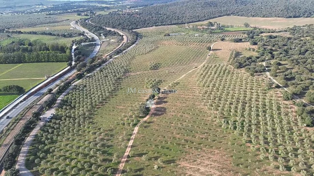 Farm Ranch in Ronda, Andalusia, Spain 1 - 17770565