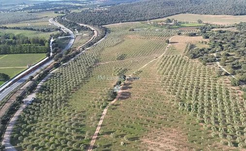 Azienda agricola a Ronda, Andalusia, Spagna 1