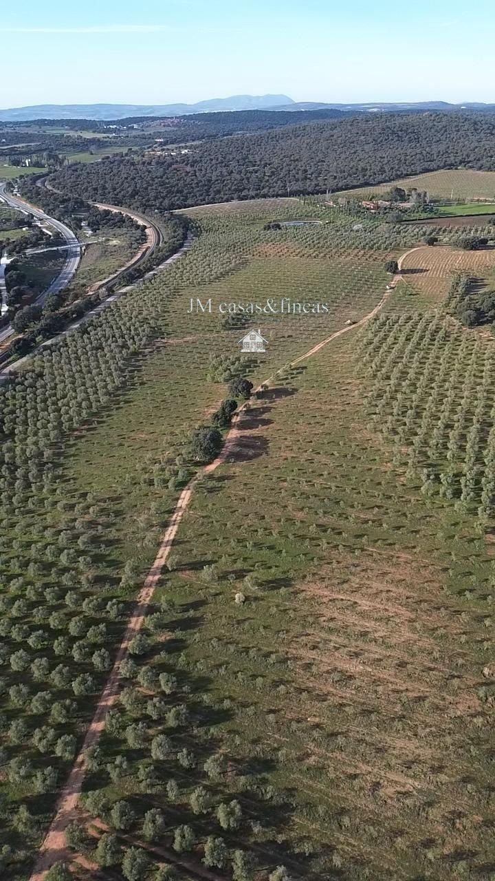 Farm Ranch in Ronda, Andalusia, Spain 5 - 17770565
