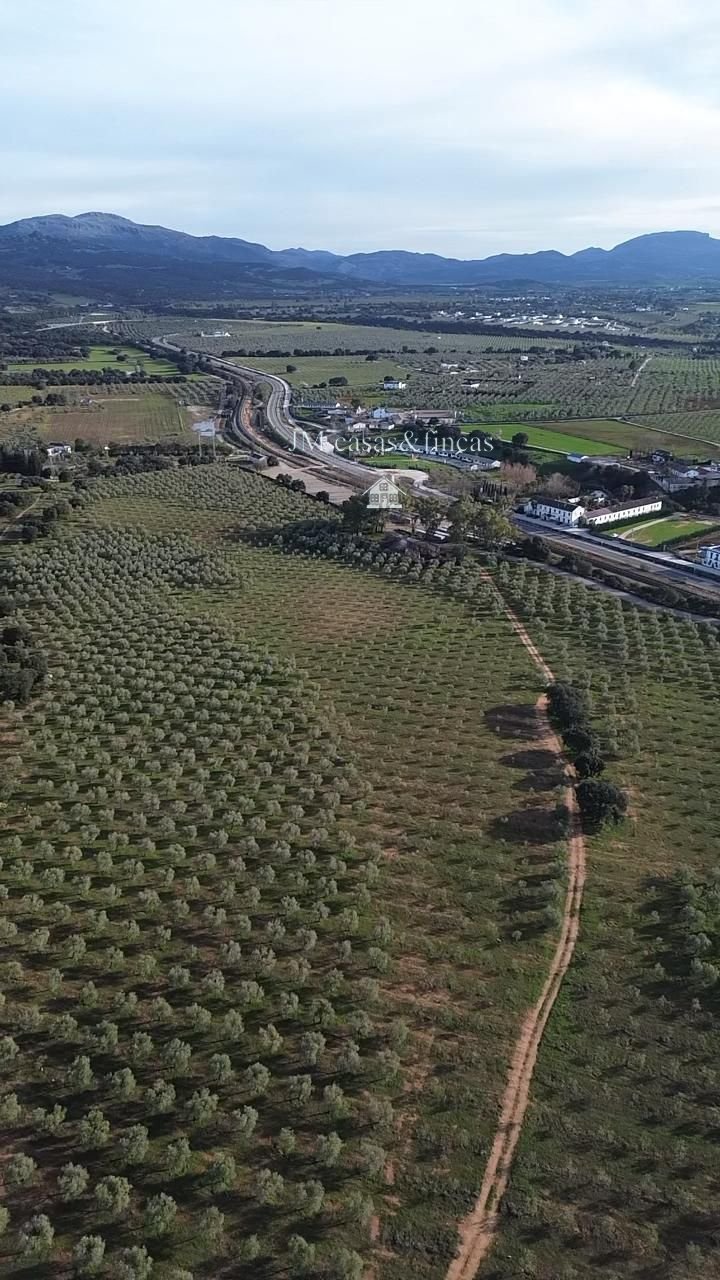 Farm Ranch in Ronda, Andalusia, Spain 4 - 17770565