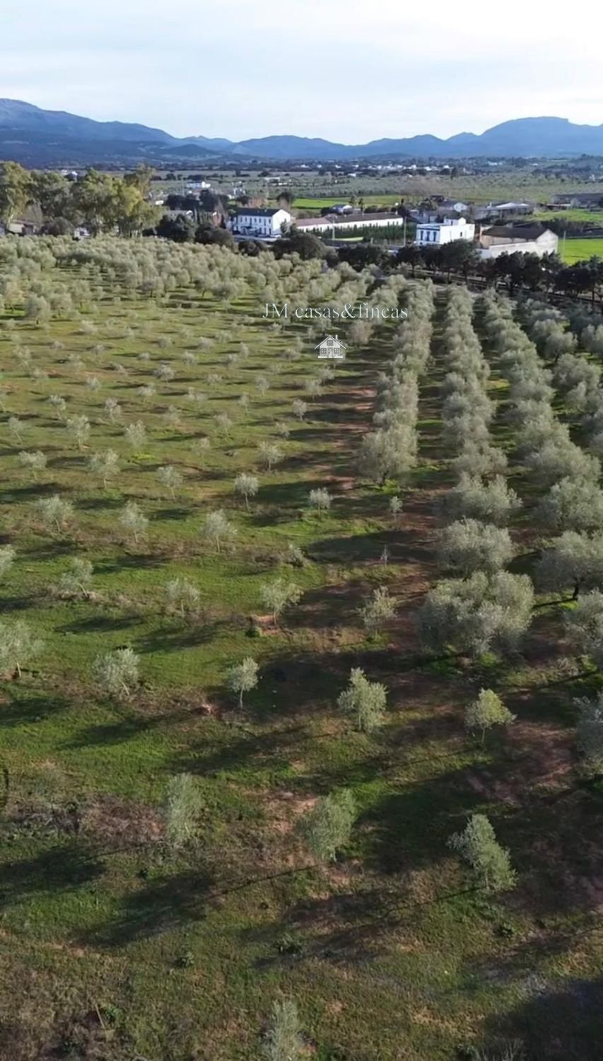 Farm Ranch in Ronda, Andalusia, Spain 3 - 17770565