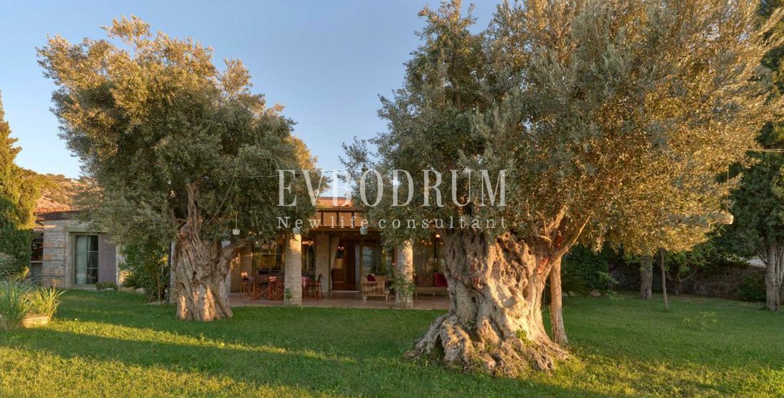 Villa in Bodrum, Muğla, Turkey 5 - 17770671