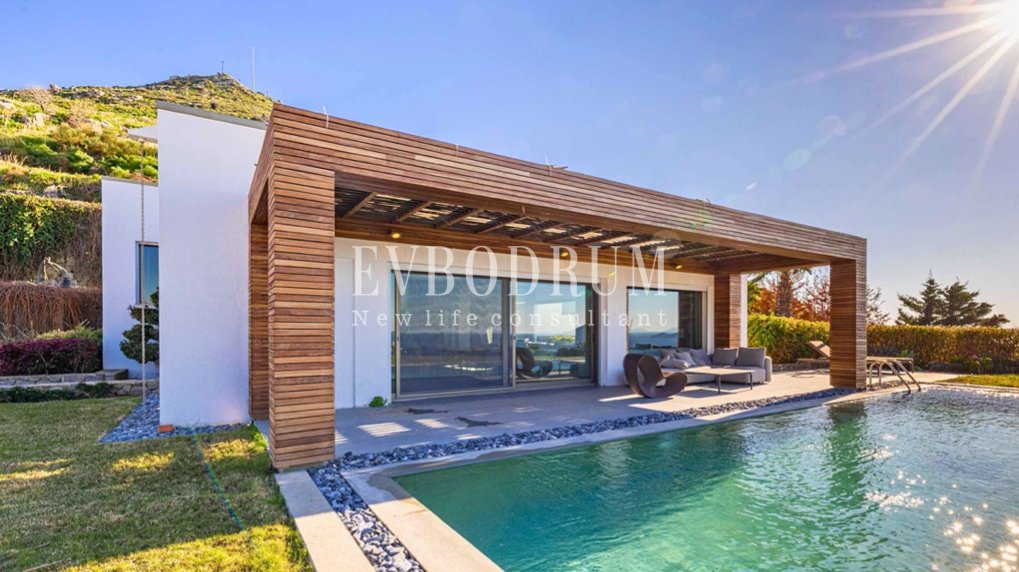 Villa in Bodrum, Muğla, Turkey 5 - 17770732
