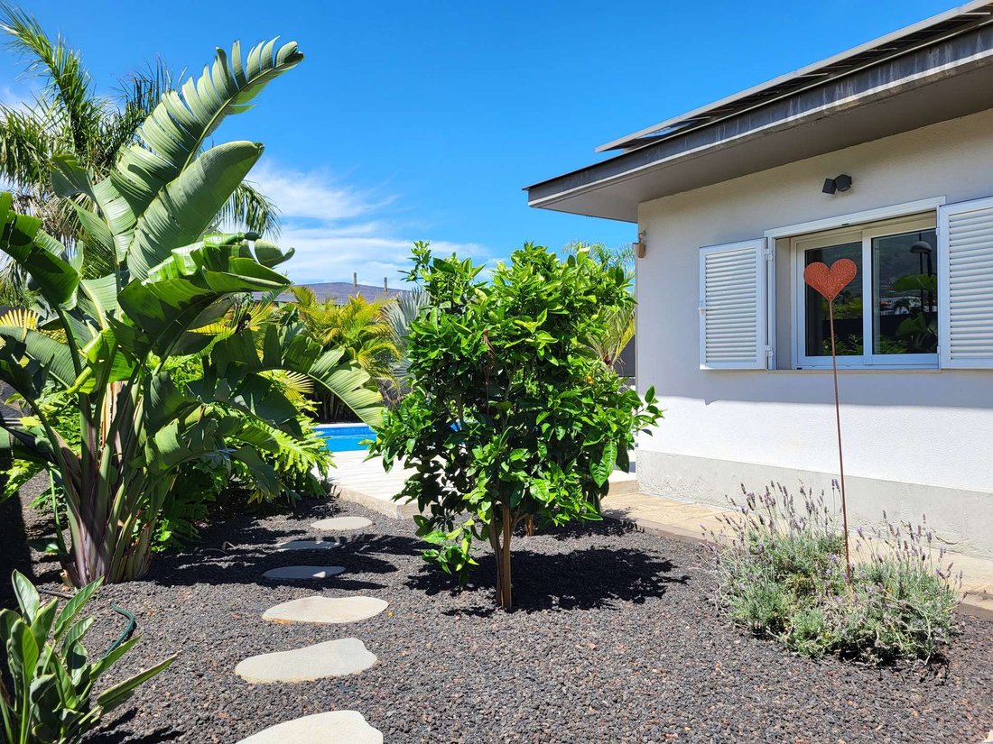 Villa in Puerto de la Cruz, Canary Islands, Spain 3 - 17771192
