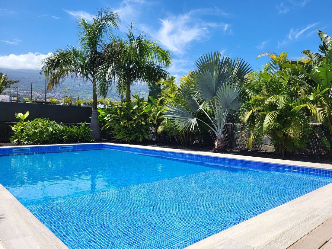 Villa in Puerto de la Cruz, Canary Islands, Spain 5 - 17771192
