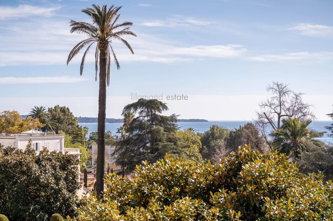 Apartment in Cannes, Provence-Alpes-Côte d'Azur, France 3 - 17771056