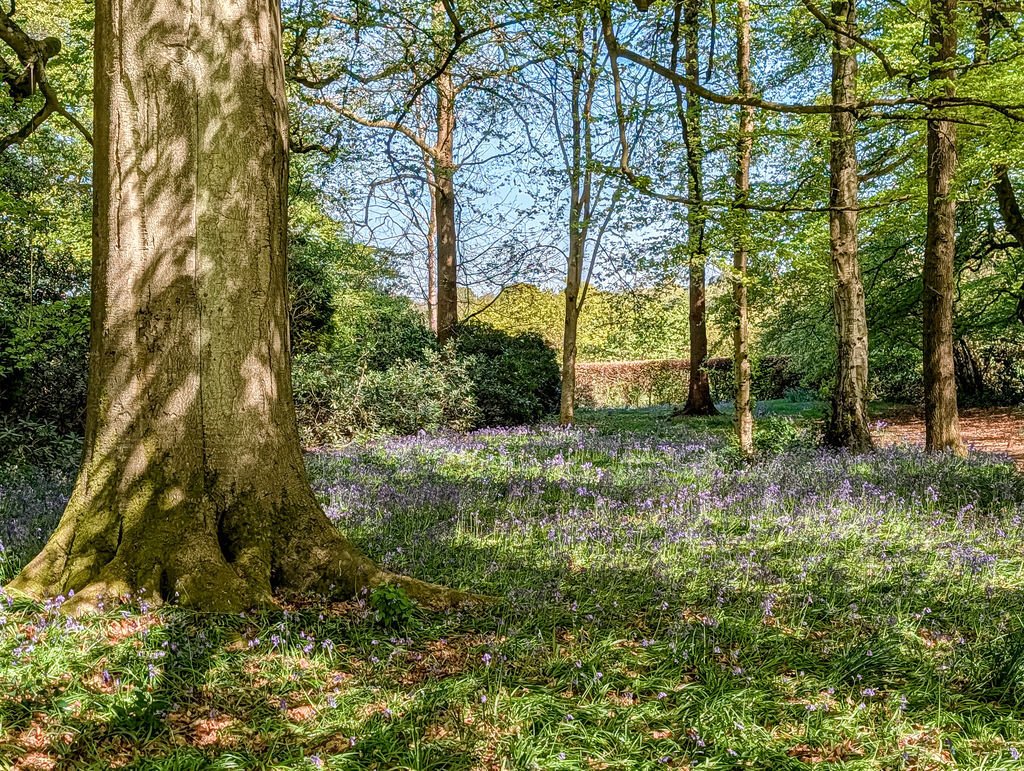 House in Shere, England 4 - 17399154