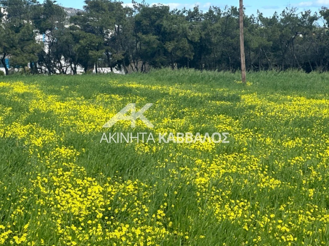 Terreno a Paro, Aegean, Grecia 4 - 17771686