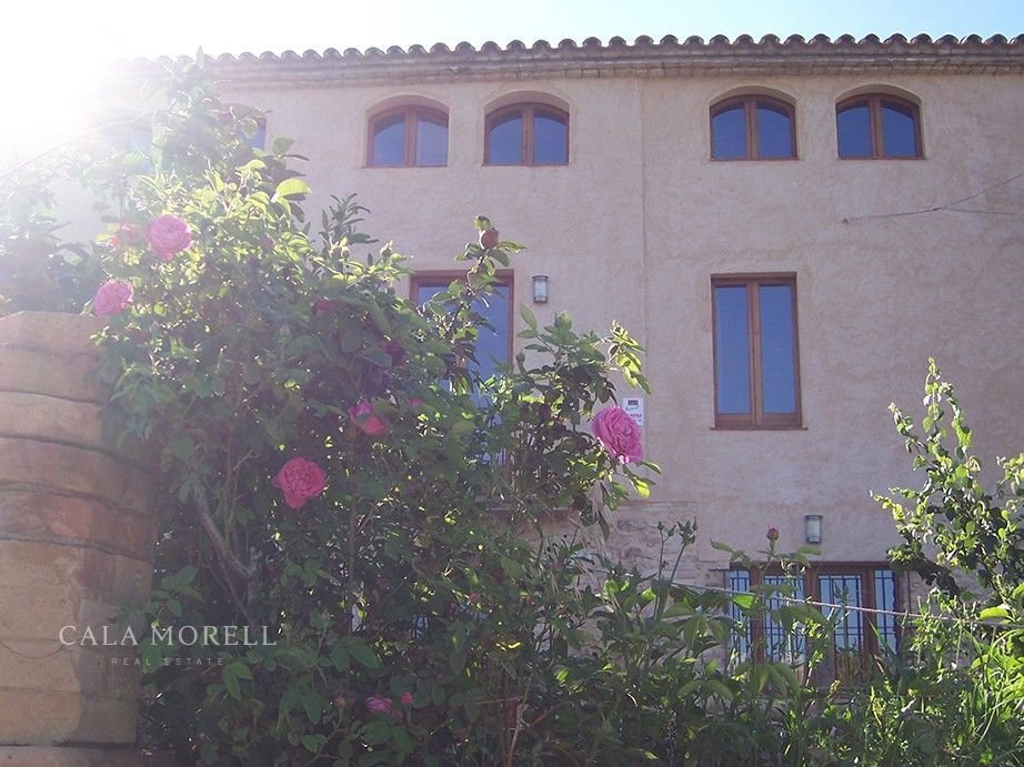 Country House in Benissanet, Catalonia, Spain 4 - 17773237