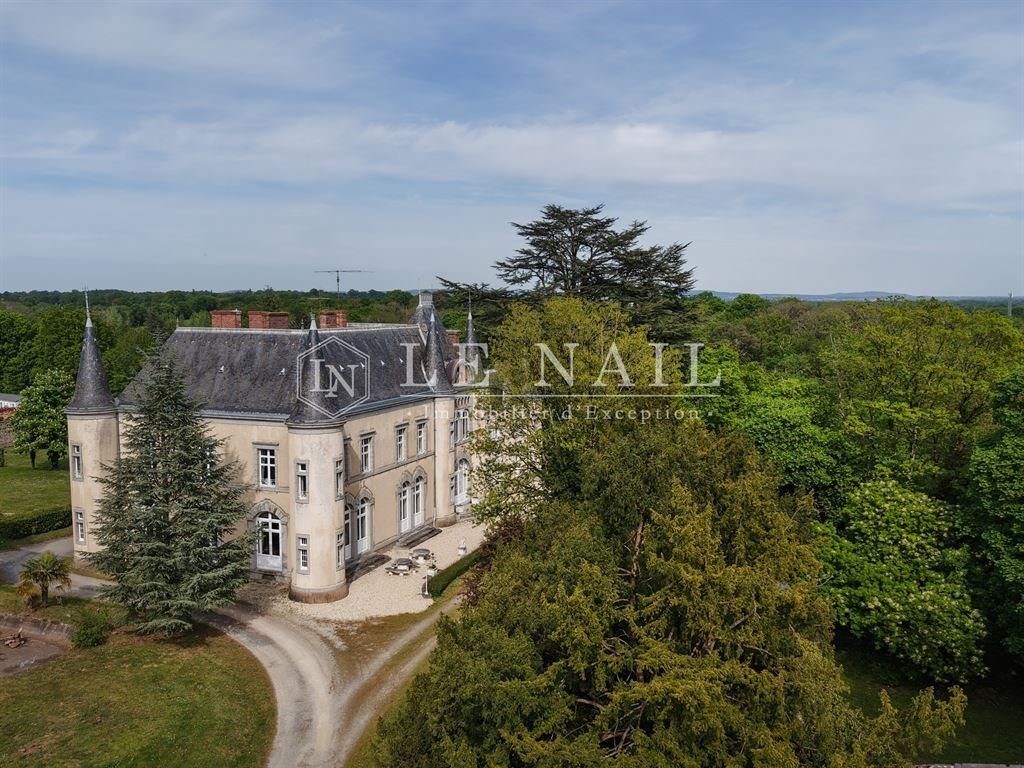 Castle in Pillerie-Bootz, Laval, Pays de la Loire 2 - 17775306
