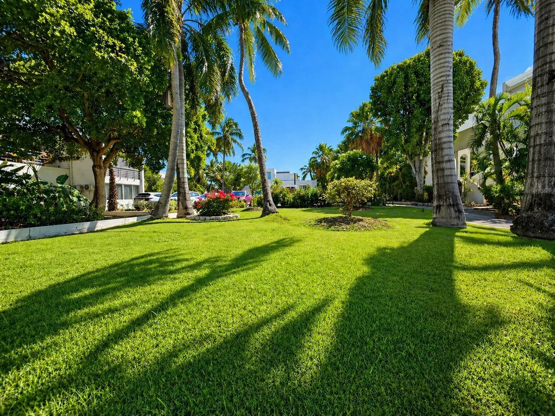 Apartment in Simpson Bay, Sint Maarten 5 - 17775065
