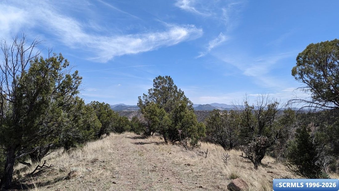 Land in Mimbres, New Mexico, United States 4 - 17774847